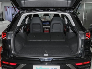 2021300T DCTA(lin) g