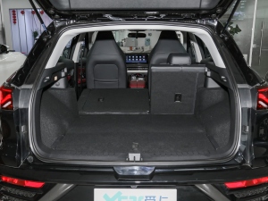 2021300T DCTA(lin) g