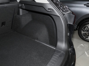 2021300T DCTA(lin) g