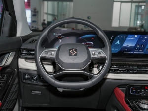 2021300T DCTA(lin) P