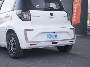 2022款花仙子款 四叶草  细节外观