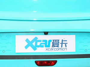 2022款花仙子款 向日葵  细节外观