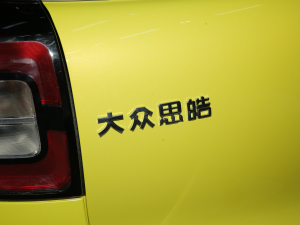 2022款花仙子款 蒲公英 细节外观