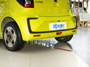 2022款花仙子款 蒲公英 细节外观