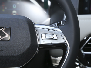 2022ʥ 300T DCT 7 п؅^(q)