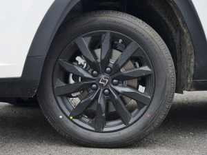 2022款1.5T CVT酋长定制版 轮圈