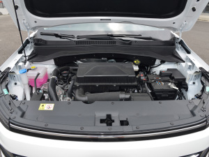 2022款1.5T CVT酋长定制版 发动机