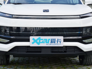 2022款公务版 中网