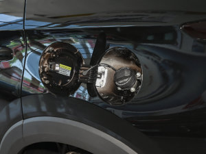 20231.5TGDI DCTǼҰ 7 w