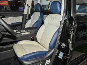 20231.5TGDI DCTǼҰ 7 {