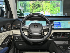 20231.5TGDI DCTǼҰ 7 P