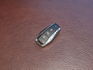 20231.5TGDI DCTǼҰ 7 ܇耳