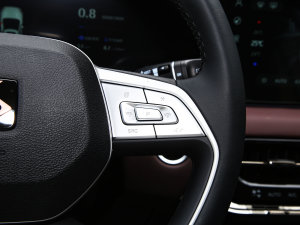 20231.5TGDI DCT 7 п؅^(q)