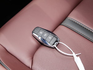 20231.5TGDI DCT 7 ܇耳