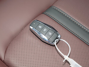 20231.5TGDI DCTа 7 ܇耳