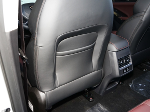 20231.5TGDI DCTǼҰ 5 g