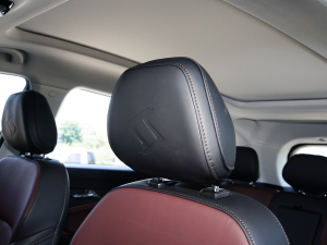 20231.5TGDI DCTǼҰ 5 g