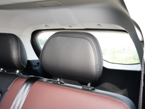 20231.5TGDI DCTǼҰ 5 g