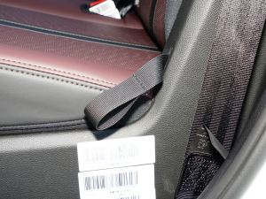 20231.5TGDI DCTǼҰ 5 g