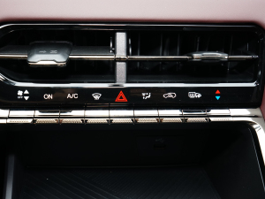 20231.5TGDI DCTǼҰ 5 {(dio){(dio)(ji)