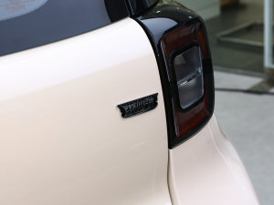 2023款周年款 301km 满天星 45kW 细节外观