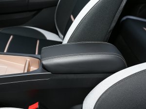 2023款周年款 301km 满天星 45kW 中央扶手箱