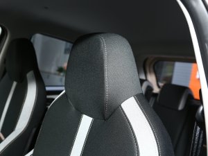 2023款周年款 301km 满天星 45kW 空间座椅