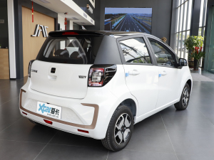 2024款挚爱版 301km Lite  整体外观