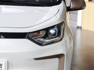 2024款挚爱版 301km Lite  细节外观