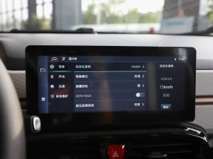 2024款挚爱版 301km Lite  中控区