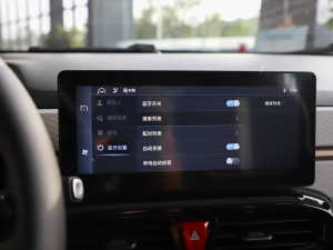 2024款挚爱版 301km Lite  中控区