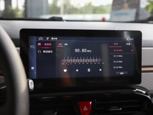 2024款挚爱版 301km Lite  中控区