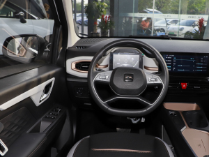 2024款挚爱版 301km Lite  中控区