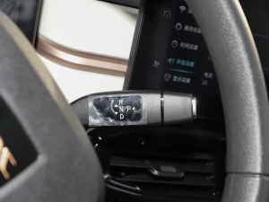2024款挚爱版 301km Lite  中控区