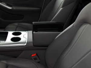 2023L(zhng)m(x)Pro g