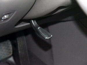 2023L(zhng)m(x)Pro g