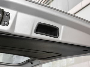 2018˼Ұ 1.6L քӺA g