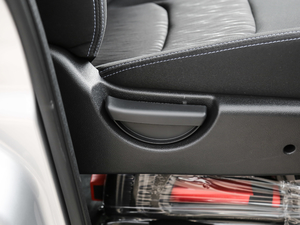 2018˼Ұ 1.6L քӺA g