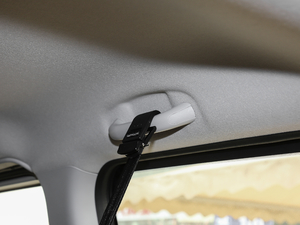 2018˼Ұ 1.6L քӺA g