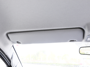 2019PLUS ˼Ұ 1.8L A g