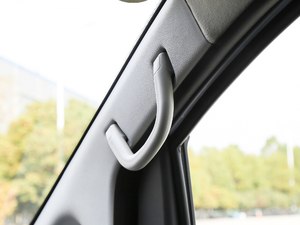 2019PLUS ˼Ұ 1.8L A g