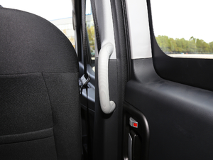 2019PLUS ˼Ұ 1.8L A g