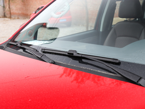 2019̽ 2.0T (q)F͘(bio)p  ˢ