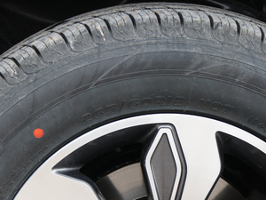 2019̽ 2.0T (q)F͘(bio)p  ݆̥ߴ