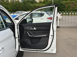 20191.5T DCTȫ 5 VI g