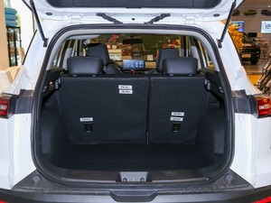 2020��1.5T �քӳ�Խ�� ��������g