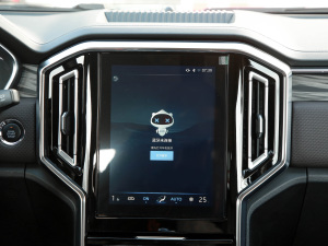 2021款2.0T 手动两驱精英型标双 柴油 中控区