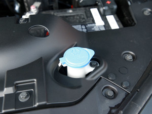 20212.0T քӃ򌾫Ӣ͘p  