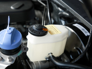 20212.0T քӃ򌾫Ӣ͘p  