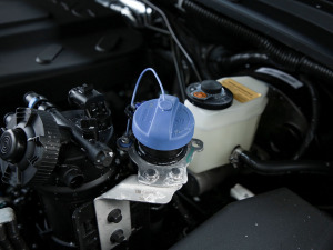 20212.0T ք򌾫Ӣ͘p  